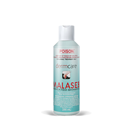 malaseb medicated foam
