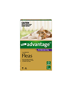 Buy advantage outlet for cats