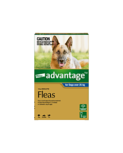 Advantage Flea Treatment For Dogs VetShopAustralia