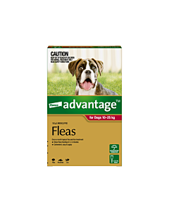 Healthiest flea 2025 treatment for dogs