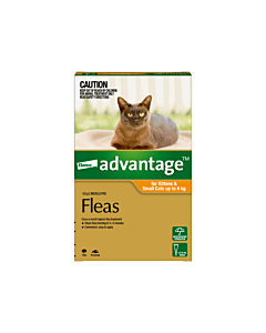 Buy advantage best sale for cats