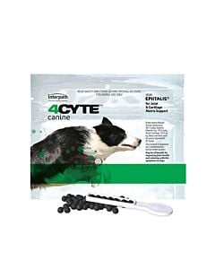 Cheap outlet puppy supplies