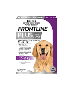 Buy 2025 frontline plus