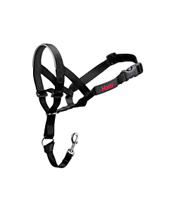 petsmart headcollar