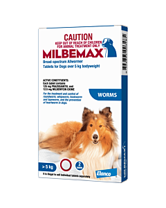 Cheap dog worming tablets top