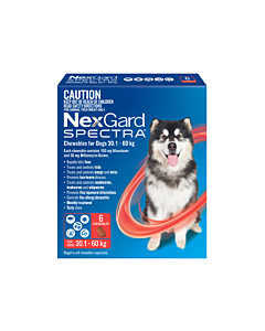 Flea Tick Treatment For Dogs VetShopAustralia