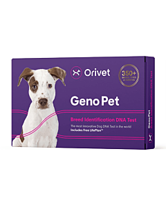Cheap dog best sale dna breed test