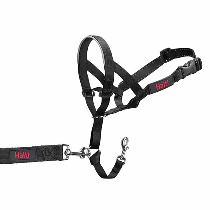 Halti online for dogs