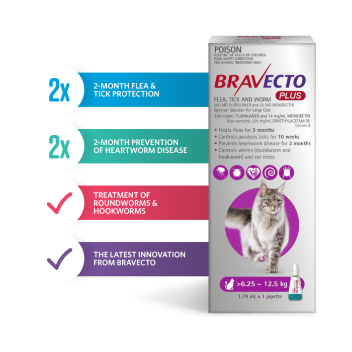bravecto cat flea treatment