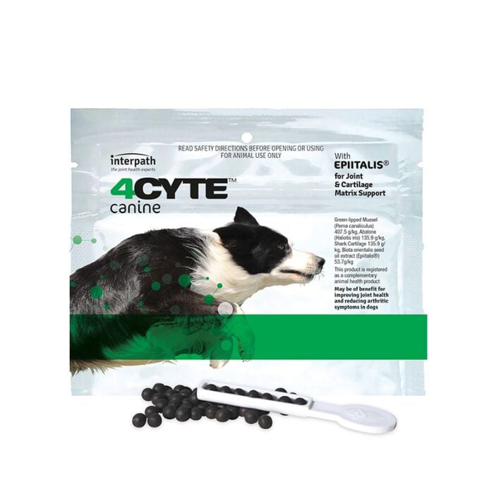 Best price shop 4cyte for dogs