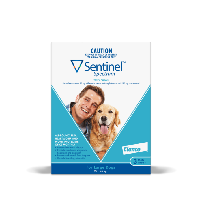 Heartworm medicine for large dogs clearance