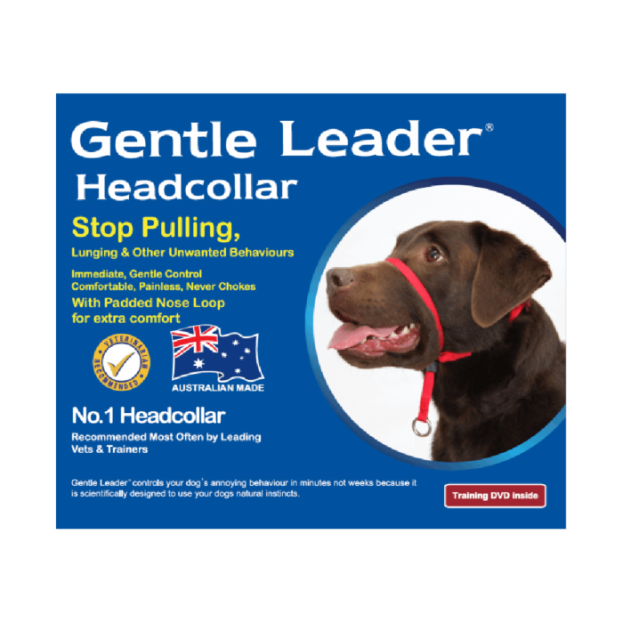 Soft halti for dogs on sale
