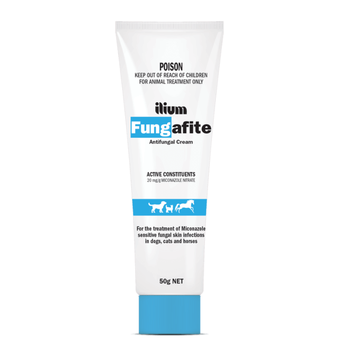 Antifungal cream safe for outlet cats