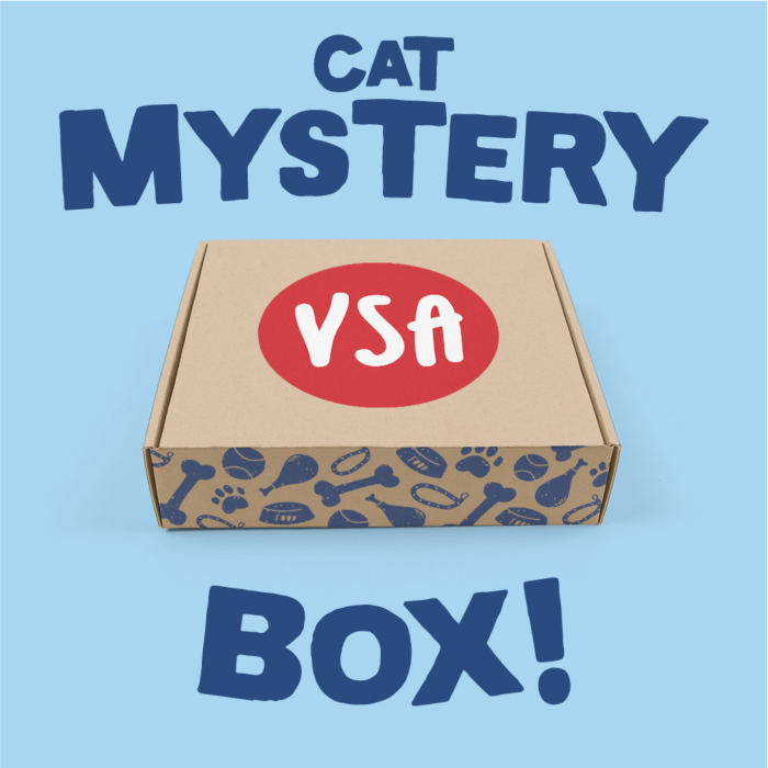 Cat Mystery Box