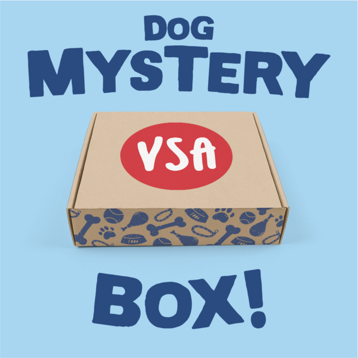 Dog Mystery Box