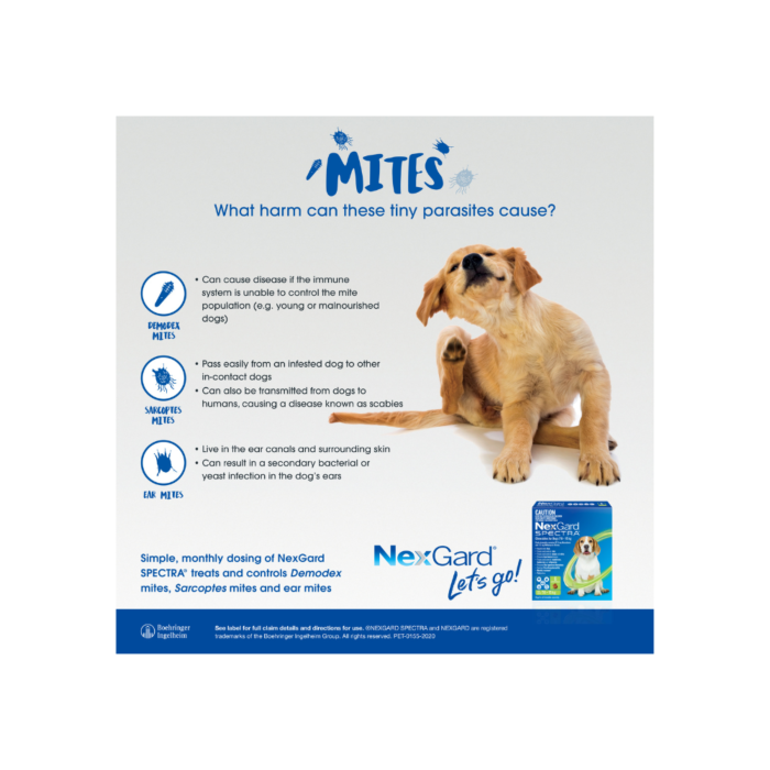 NexGard Spectra Dog Extra Large 30.1 60kg Red VetShopAustralia