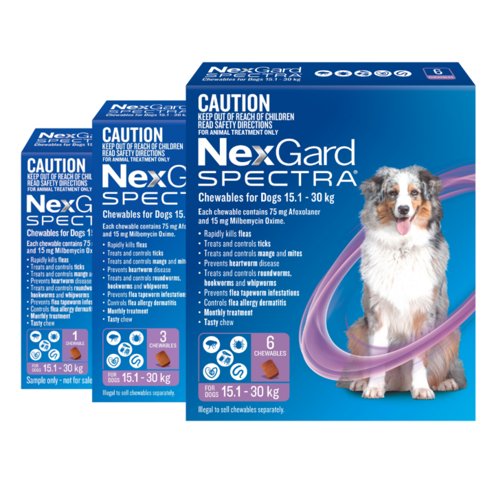 Nexgard spectra puppy age sale