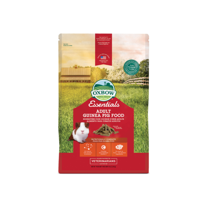 Oxbow essentials adult shop guinea pig food