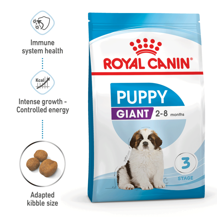 Puppy giant royal canin sales