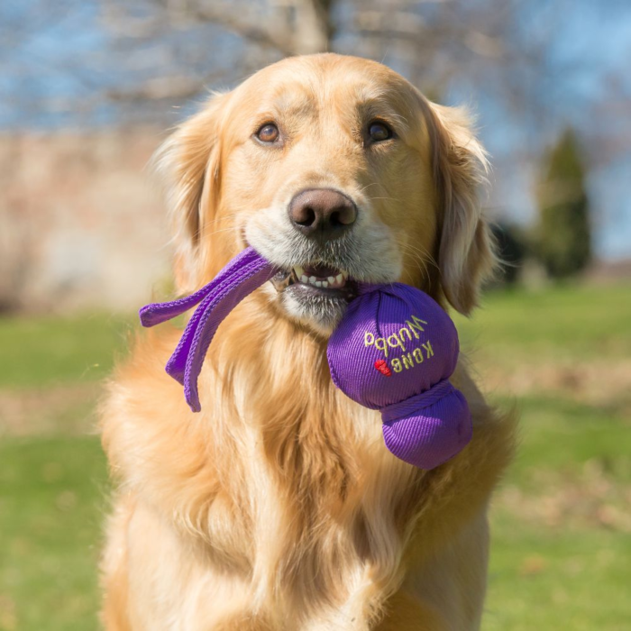KONG Wubba Dog Toy VetShopAustralia
