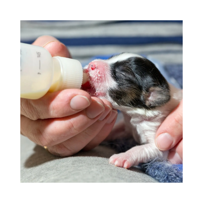 Wombaroo Dog Milk Replacer VetShopAustralia