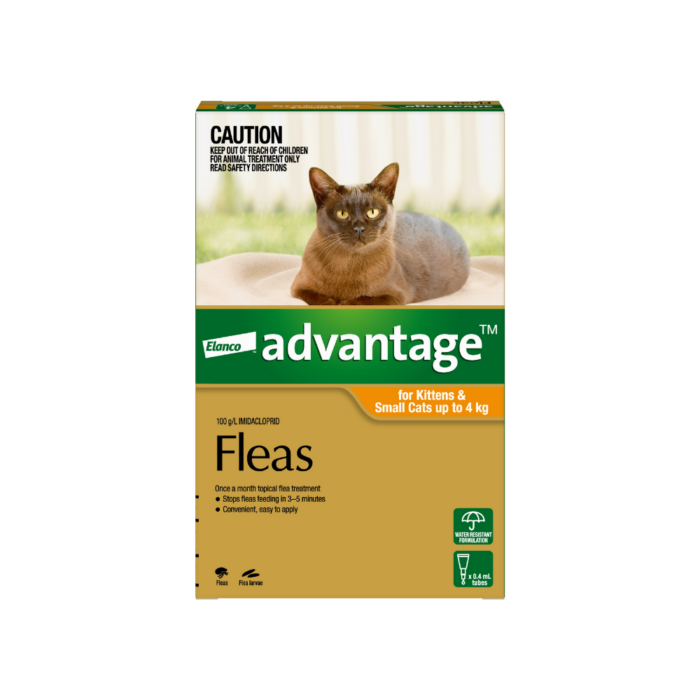 Advantage kitten flea top