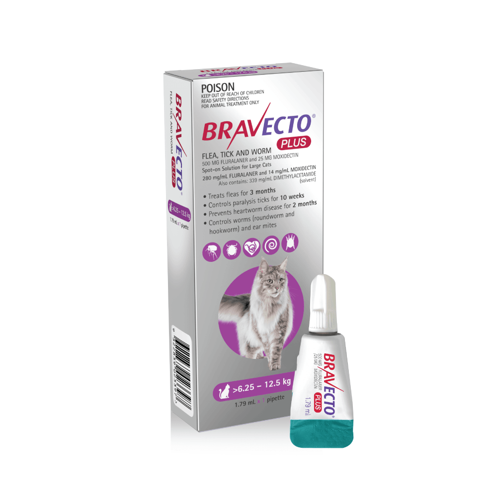 Bravecto Plus Cat 6.25 12.5kg Purple