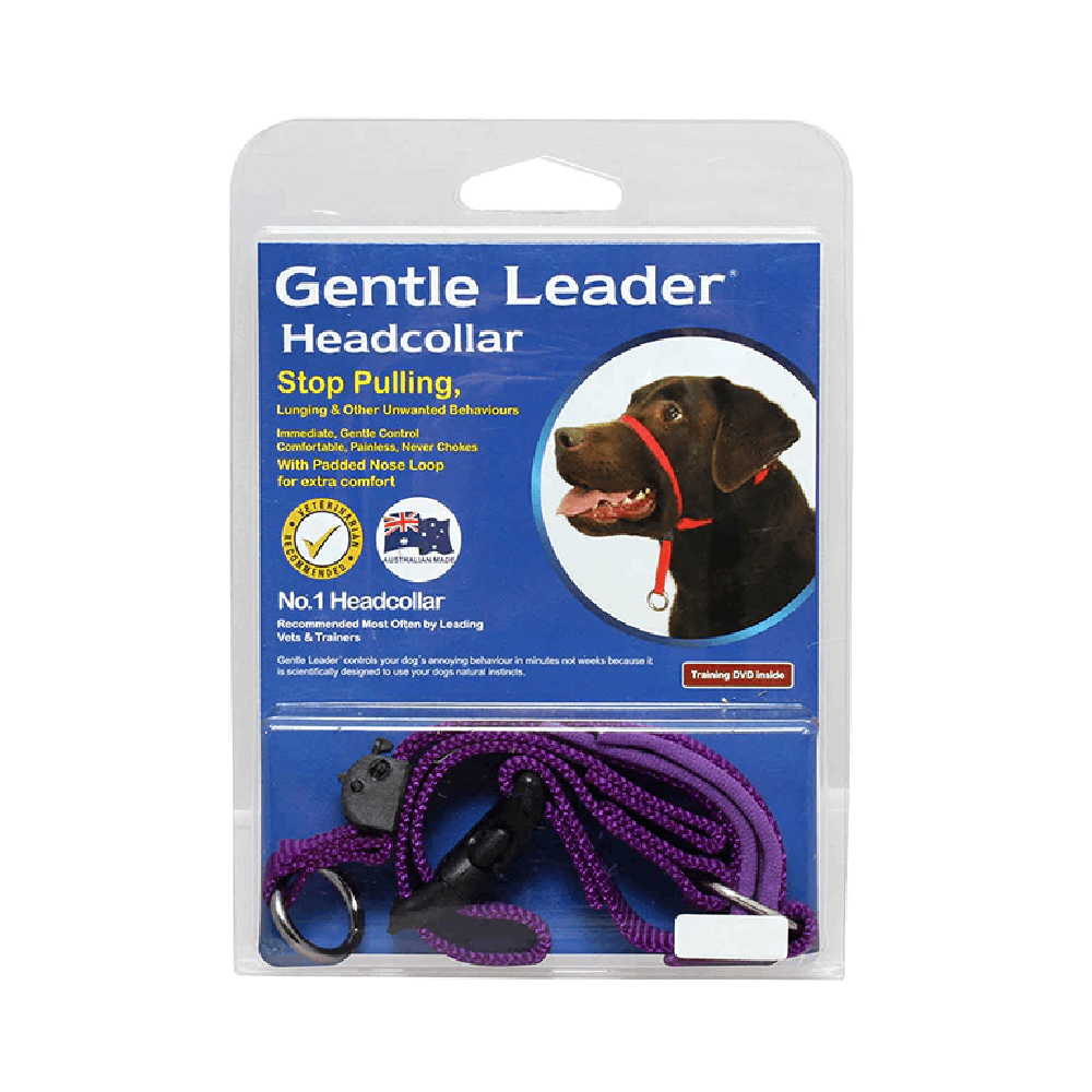Gentle lead store collar instructions