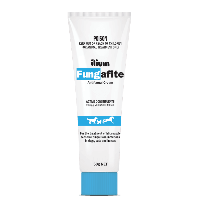 Antifungal cream for dogs skin hot sale