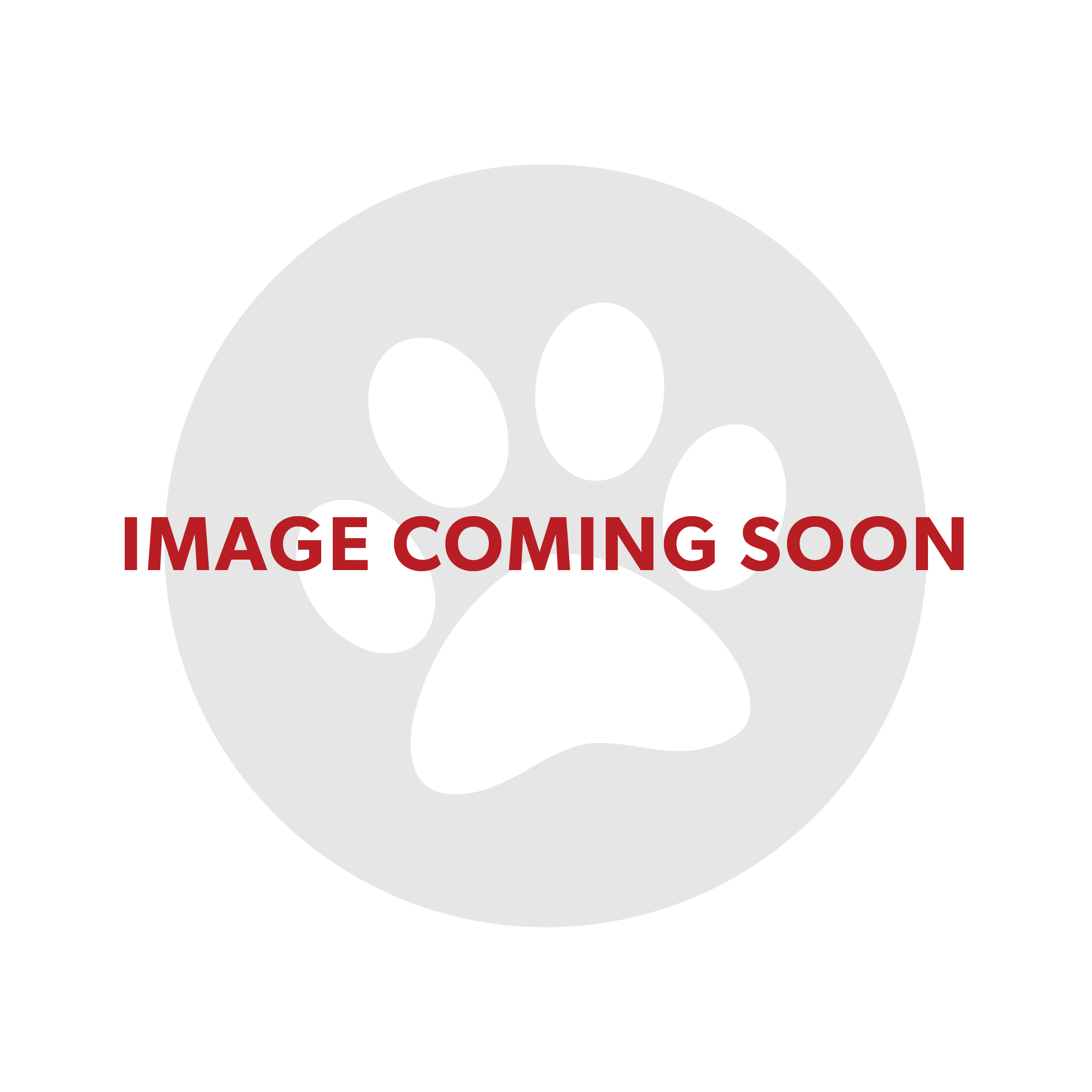 Cat Supplies & Accessories Online Australia