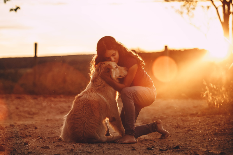 Are You A Responsible Dog Owner?