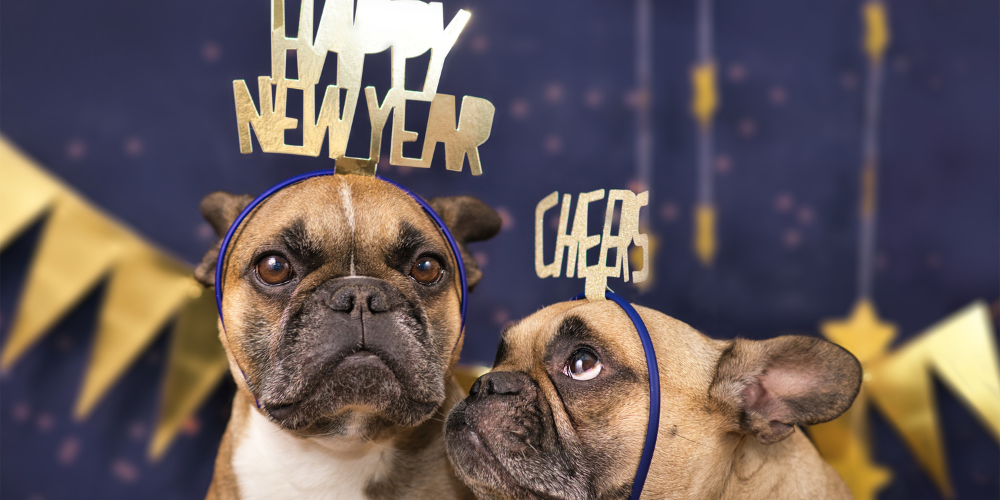 New Year's Resolutions for Your Pet