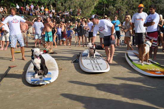 2012 Event Highlights