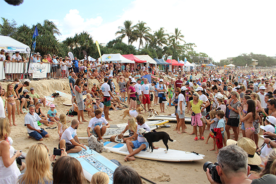 2013 Event Highlights