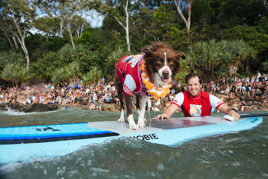 2019 Event Highlights