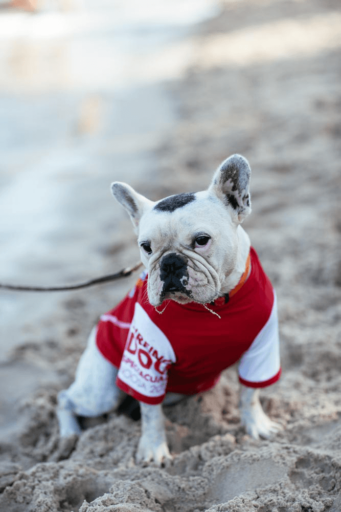 2019 Event Highlights