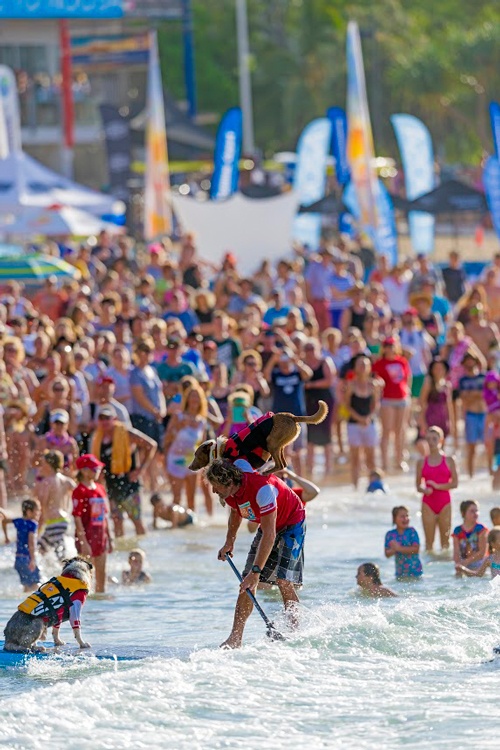 2019 Event Highlights