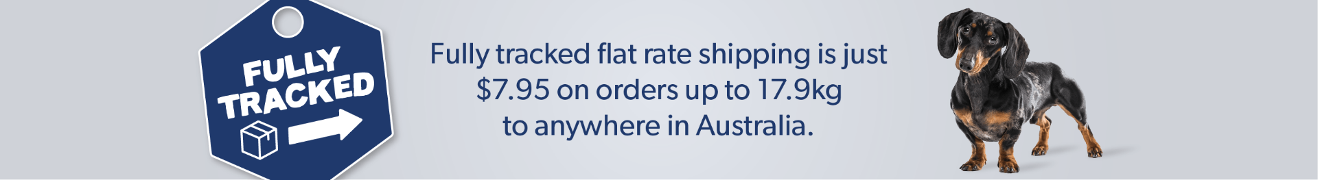 Shipping Fee