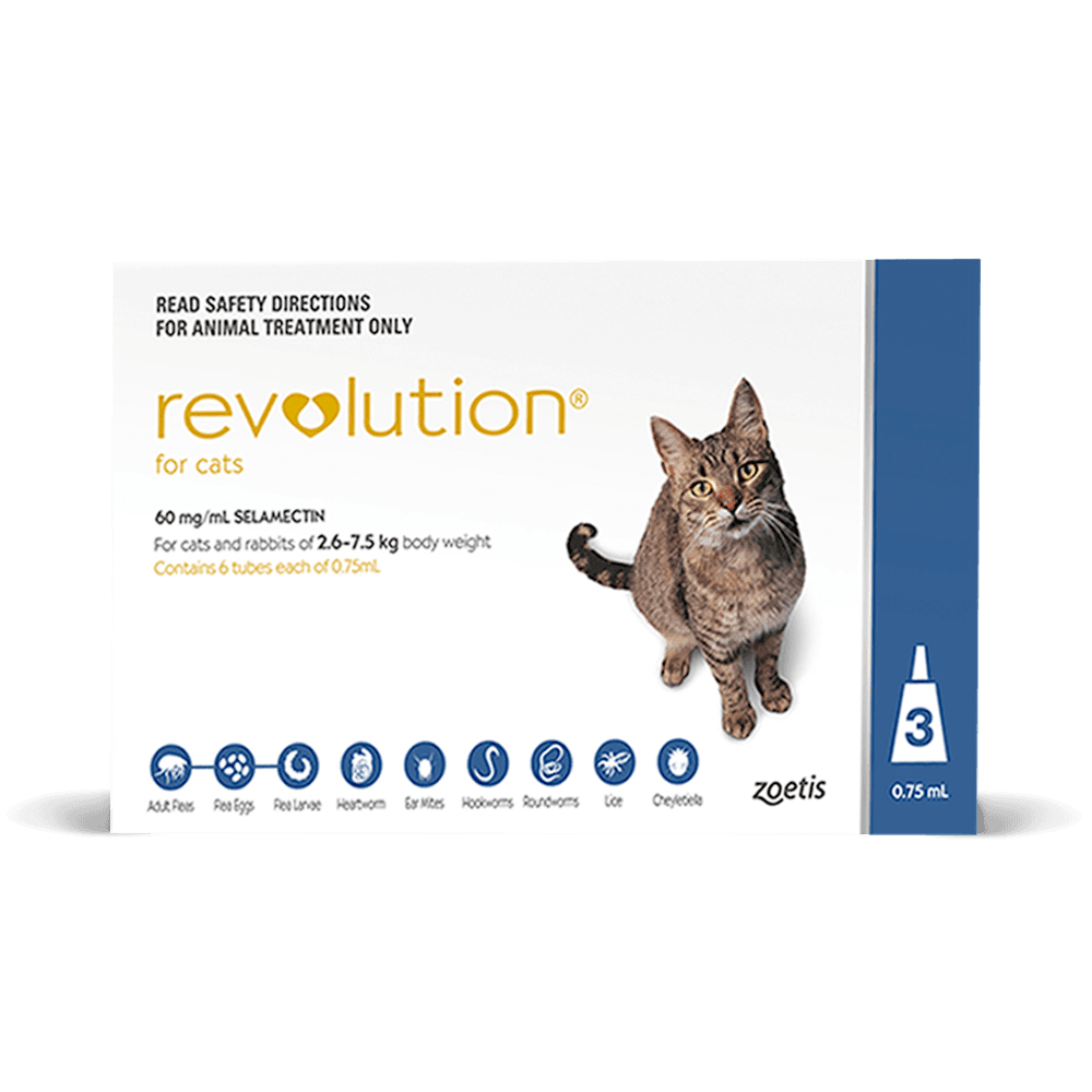 revolution flea and heartworm for cats