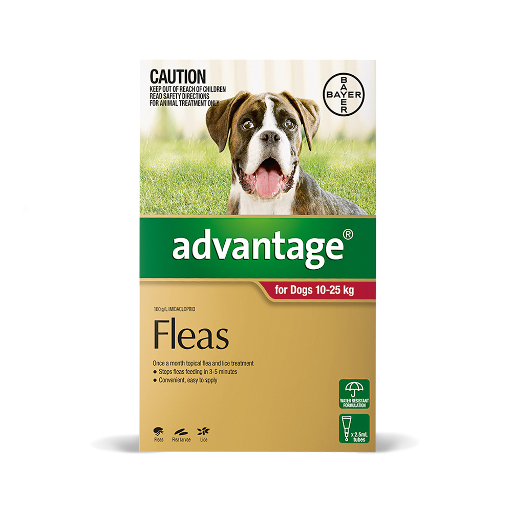 Advantage Flea Control Vetshopaustralia