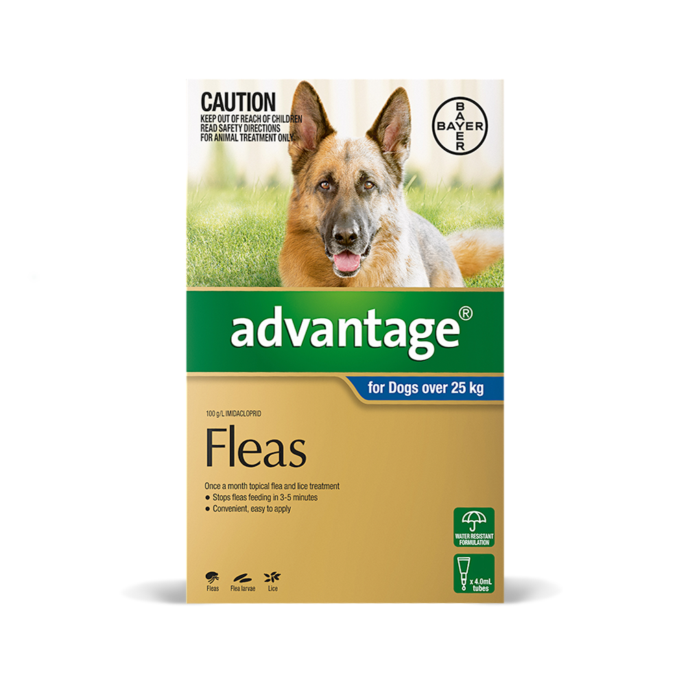 advantage flea treatment for dogs