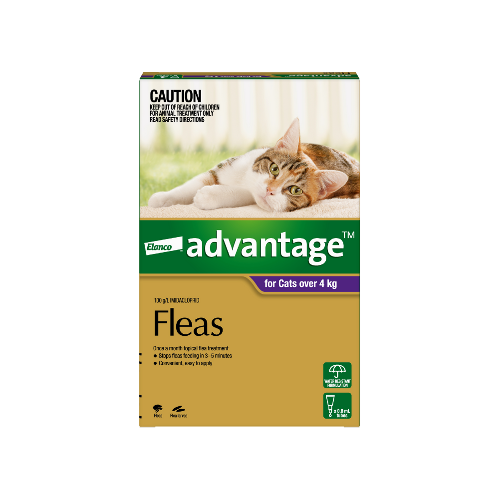 Advantage 4kg cats sale