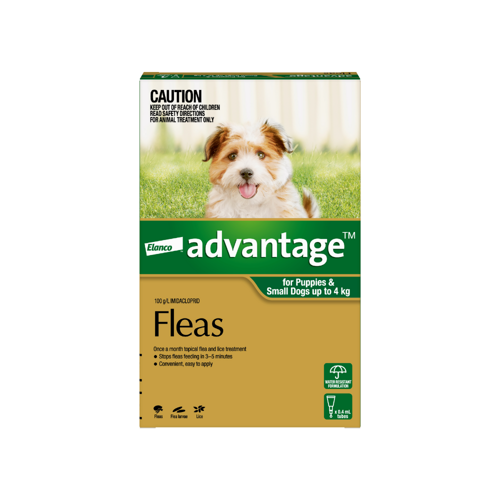 Puppy lice treatment sales