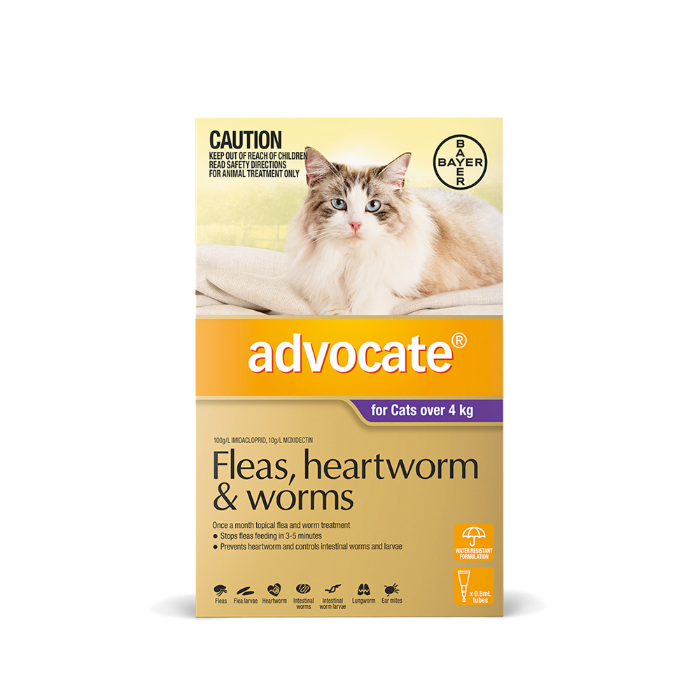 Advocate For Cats Over 4kg Flea Heartworm Treatment