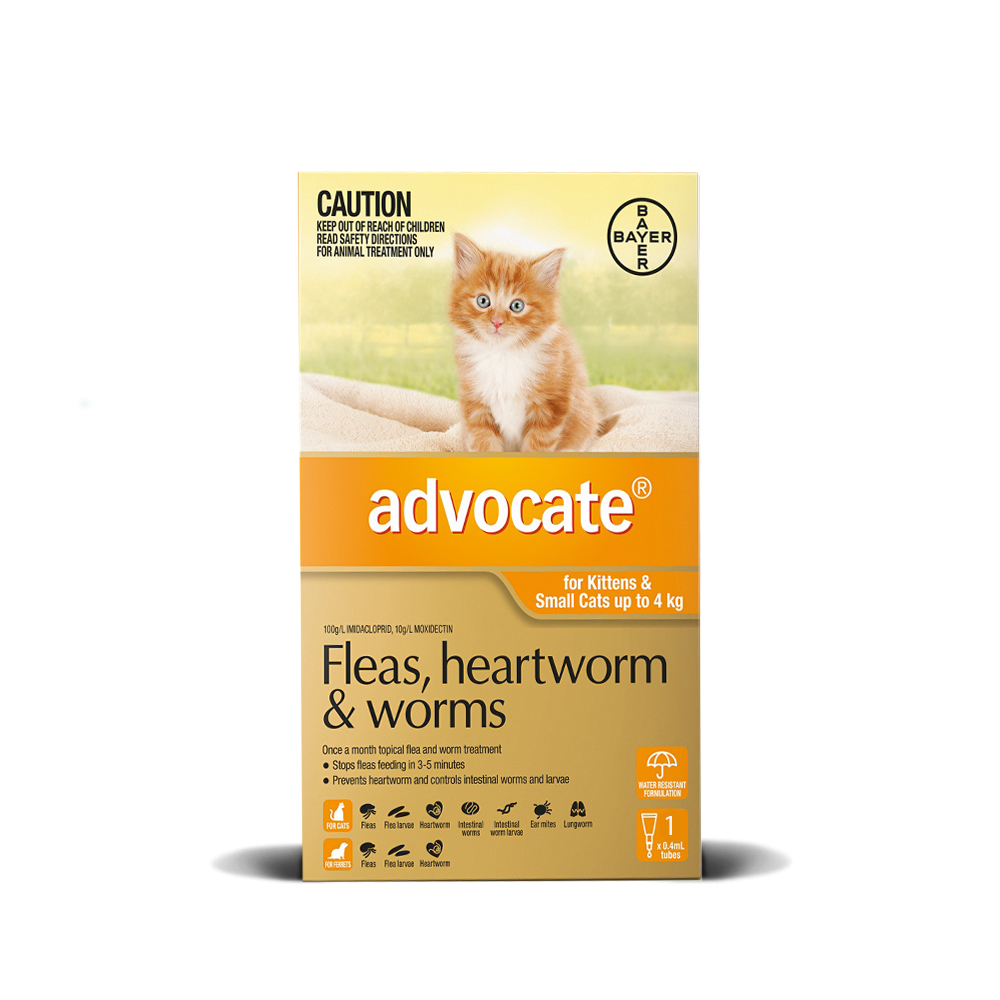 Advocate Kitten Cat Small Up To 4kg Orange Vetshopaustralia