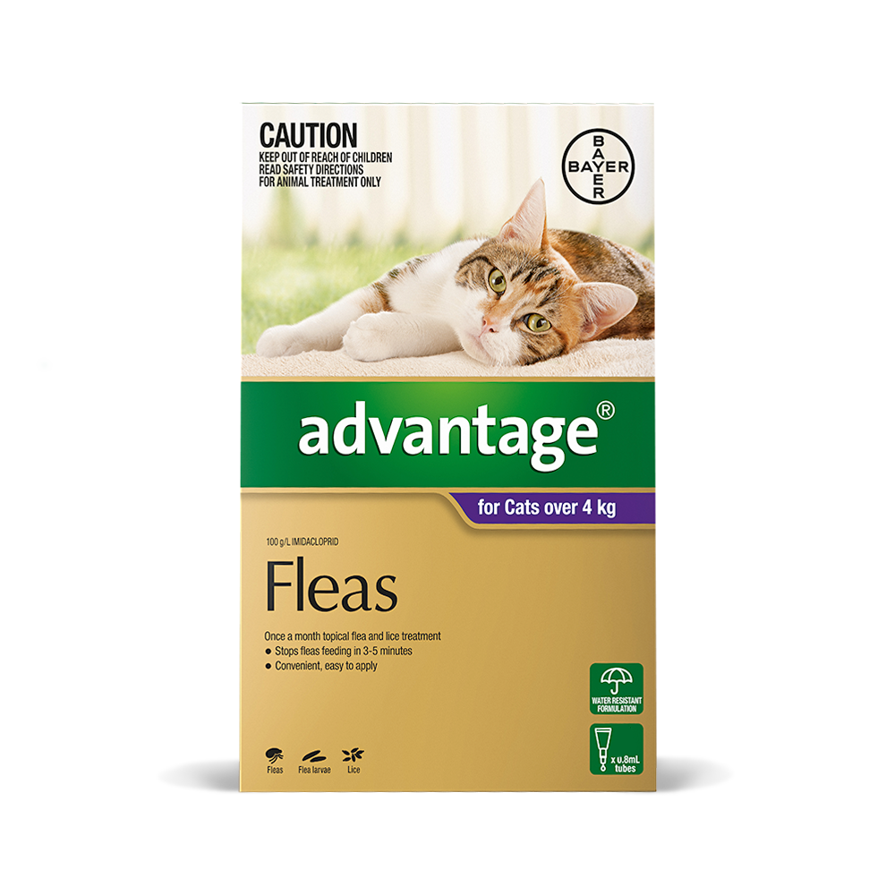 Advantage For Cats Over 4kg Vetshopaustralia