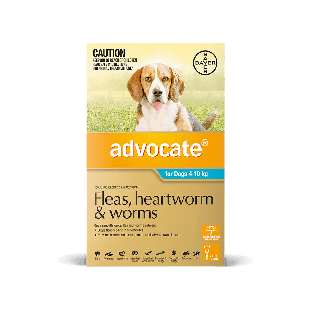 advocate heartworm