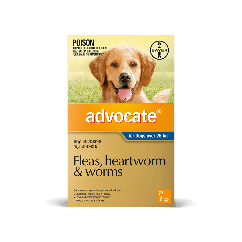 advocate dog medication