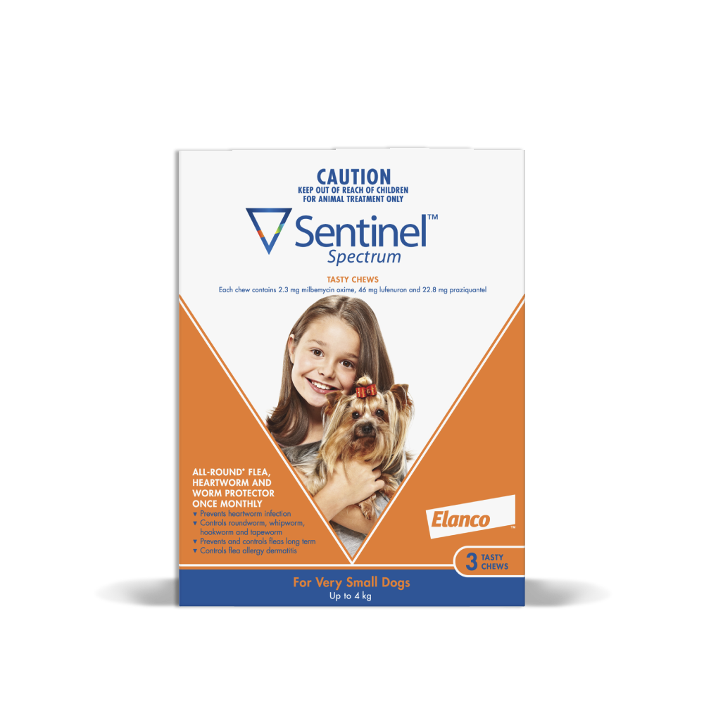 skye paw patrol remote control