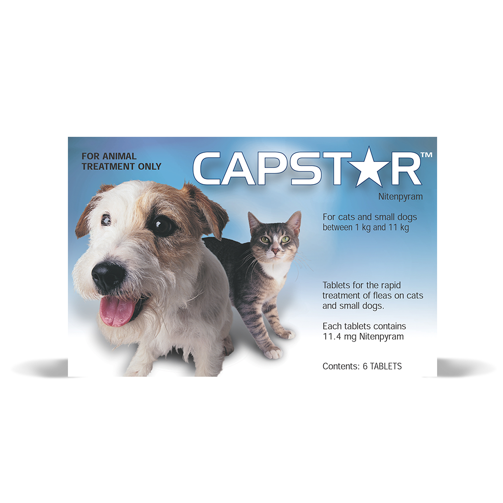 Capstar Flea Treatment Capstar Flea Control For Cats Small Dogs